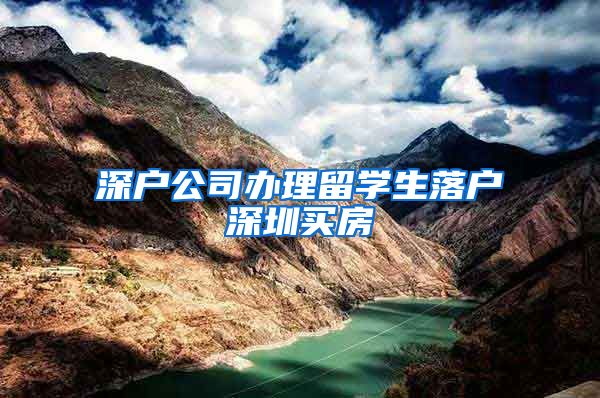 深户公司办理留学生落户深圳买房