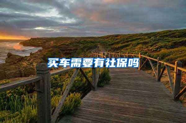 买车需要有社保吗