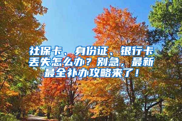 社保卡、身份证、银行卡丢失怎么办？别急，最新最全补办攻略来了！