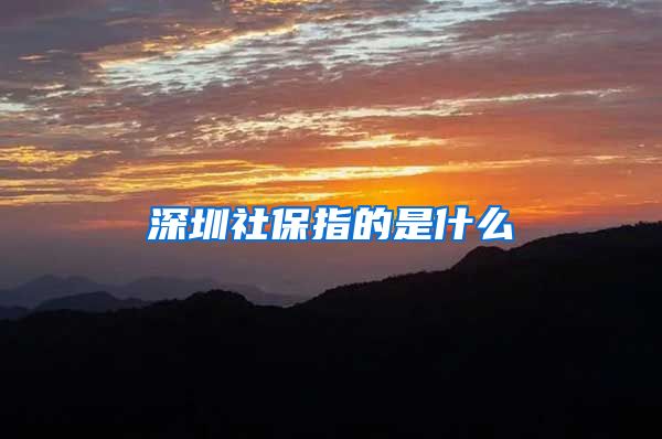 深圳社保指的是什么