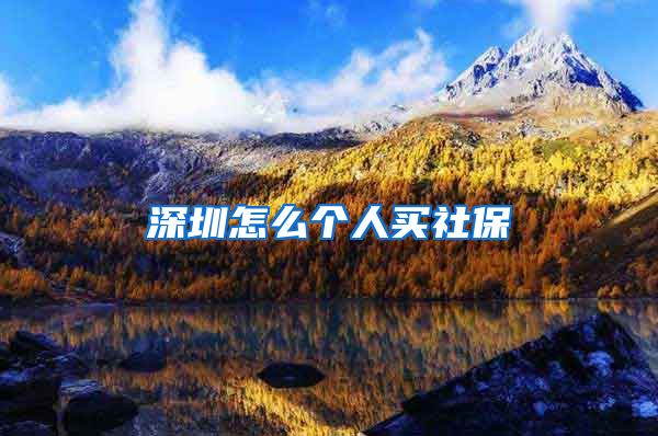 深圳怎么个人买社保