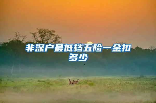 非深户最低档五险一金扣多少