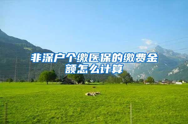非深户个缴医保的缴费金额怎么计算