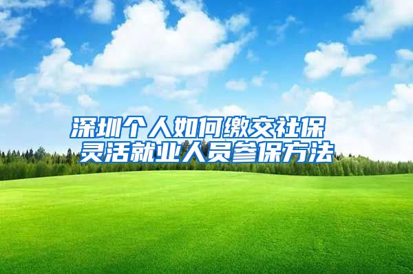 深圳个人如何缴交社保 灵活就业人员参保方法