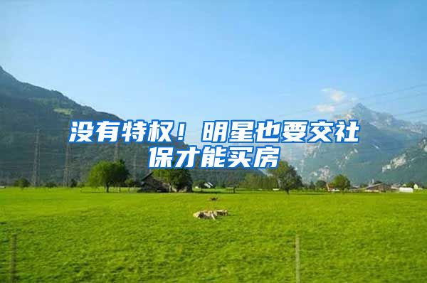 没有特权！明星也要交社保才能买房