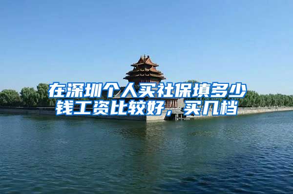 在深圳个人买社保填多少钱工资比较好，买几档