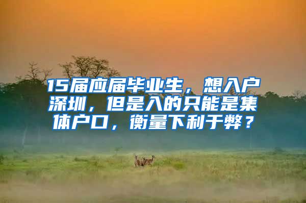 15届应届毕业生，想入户深圳，但是入的只能是集体户口，衡量下利于弊？