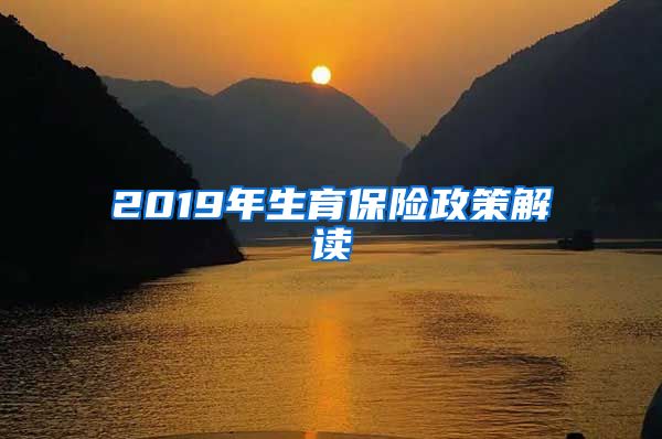 2019年生育保险政策解读