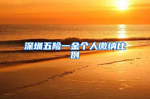 深圳五险一金个人缴纳比例
