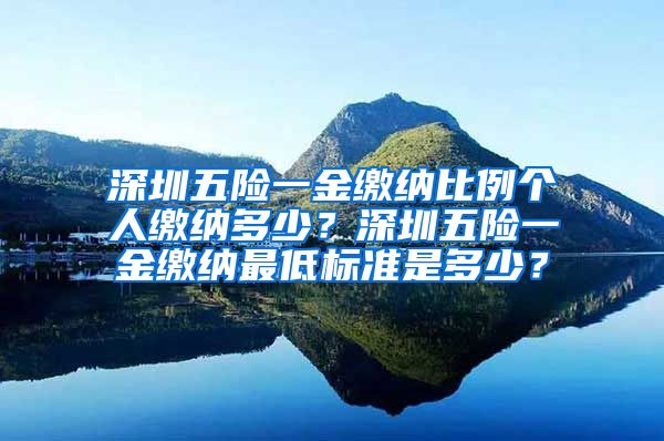 深圳五险一金缴纳比例个人缴纳多少？深圳五险一金缴纳最低标准是多少？