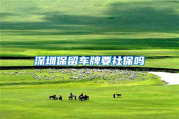 深圳保留车牌要社保吗