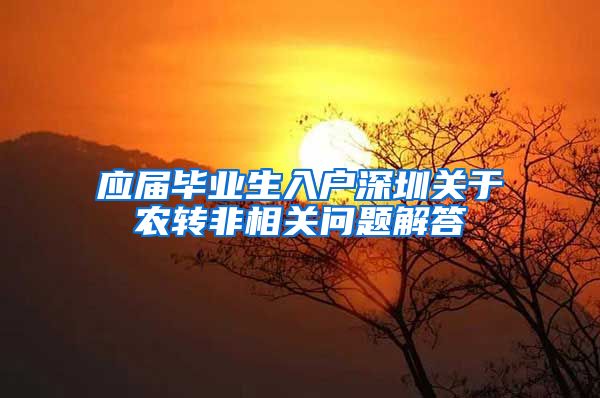 应届毕业生入户深圳关于农转非相关问题解答