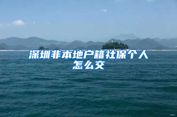 深圳非本地户籍社保个人怎么交