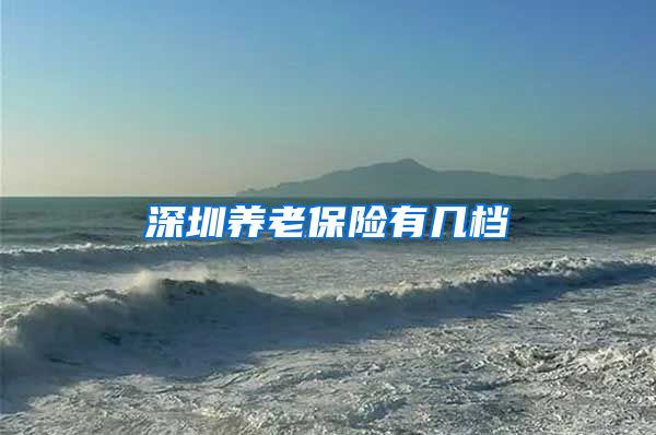 深圳养老保险有几档