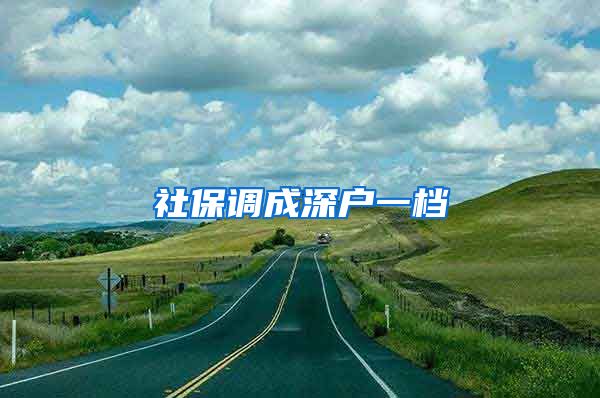 社保调成深户一档