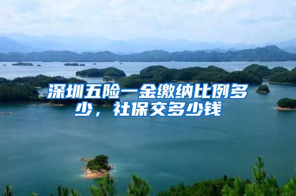 深圳五险一金缴纳比例多少，社保交多少钱