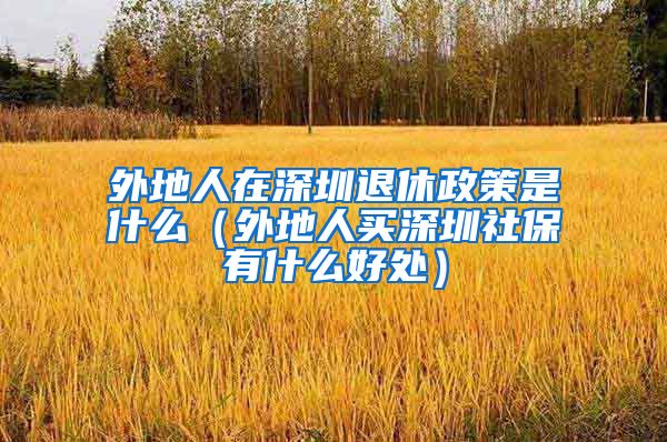 外地人在深圳退休政策是什么（外地人买深圳社保有什么好处）
