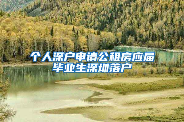 个人深户申请公租房应届毕业生深圳落户