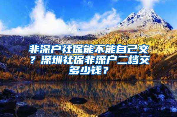非深户社保能不能自己交？深圳社保非深户二档交多少钱？