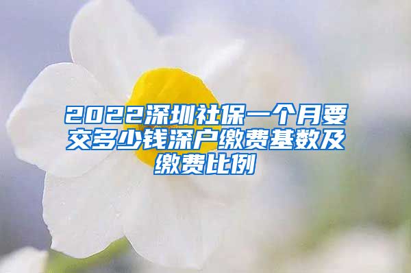 2022深圳社保一个月要交多少钱深户缴费基数及缴费比例