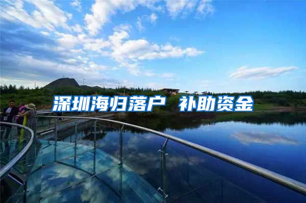 深圳海归落户 补助资金