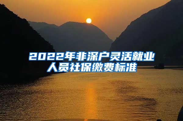 2022年非深户灵活就业人员社保缴费标准