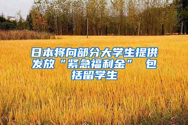 日本将向部分大学生提供发放“紧急福利金” 包括留学生