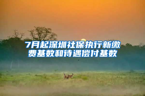 7月起深圳社保执行新缴费基数和待遇偿付基数