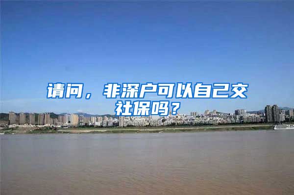 请问，非深户可以自己交社保吗？