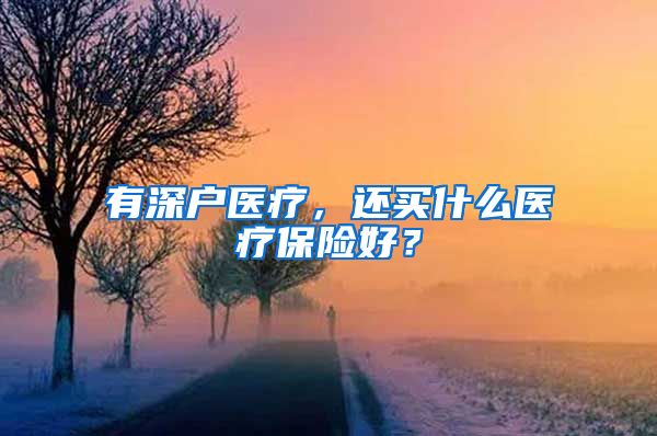 有深户医疗，还买什么医疗保险好？