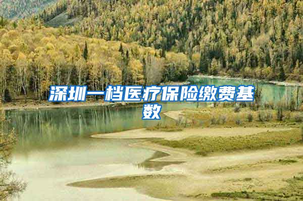 深圳一档医疗保险缴费基数