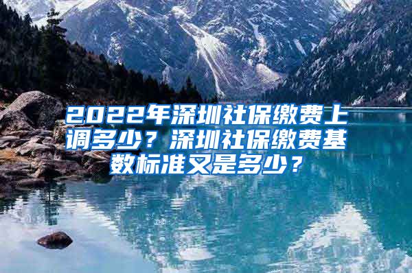 2022年深圳社保缴费上调多少？深圳社保缴费基数标准又是多少？