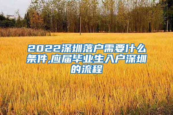 2022深圳落户需要什么条件,应届毕业生入户深圳的流程