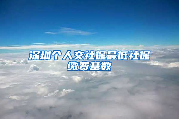 深圳个人交社保最低社保缴费基数