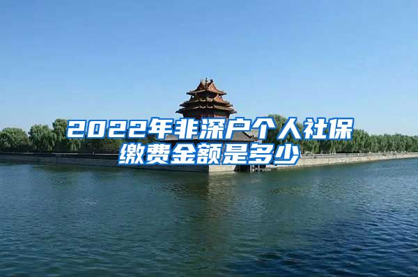 2022年非深户个人社保缴费金额是多少