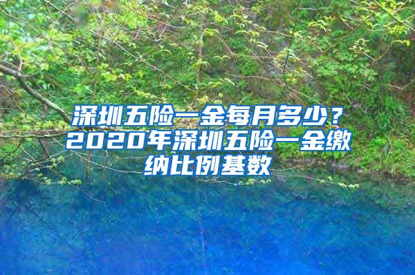 深圳五险一金每月多少？2020年深圳五险一金缴纳比例基数