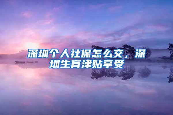 深圳个人社保怎么交，深圳生育津贴享受