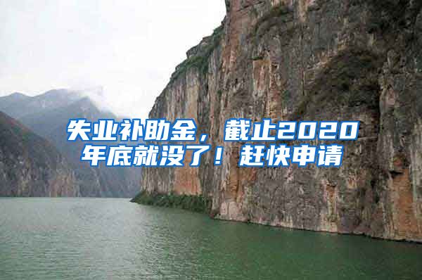 失业补助金，截止2020年底就没了！赶快申请