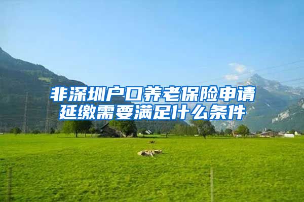 非深圳户口养老保险申请延缴需要满足什么条件