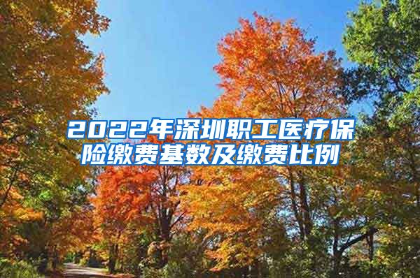 2022年深圳职工医疗保险缴费基数及缴费比例