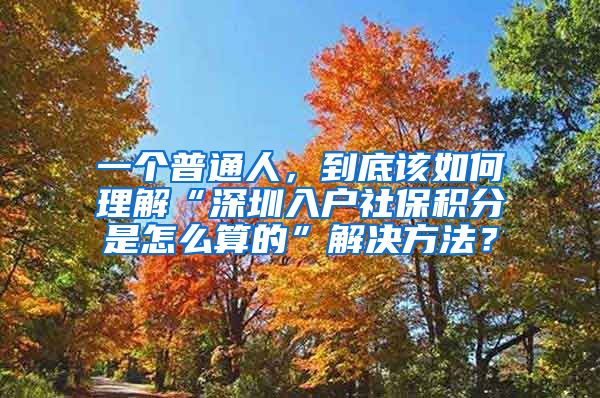 一个普通人，到底该如何理解“深圳入户社保积分是怎么算的”解决方法？