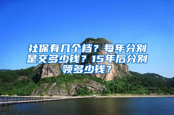 社保有几个档？每年分别是交多少钱？15年后分别领多少钱？