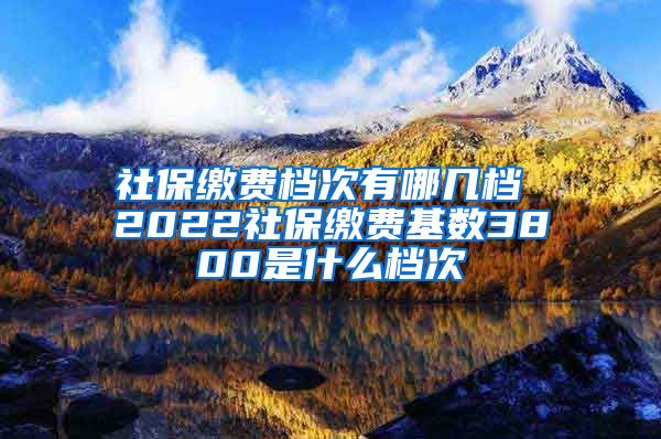 社保缴费档次有哪几档 2022社保缴费基数3800是什么档次