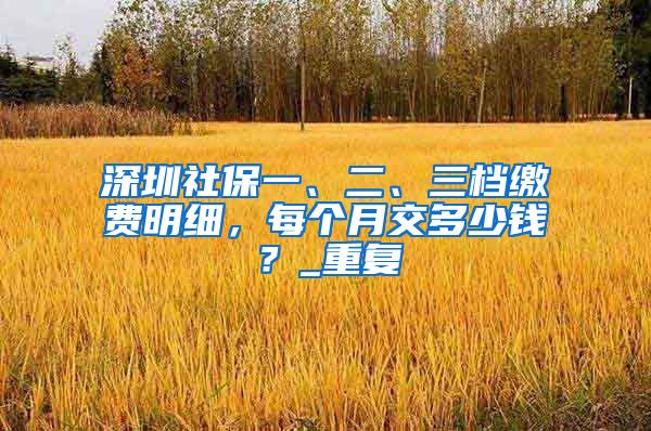 深圳社保一、二、三档缴费明细，每个月交多少钱？_重复