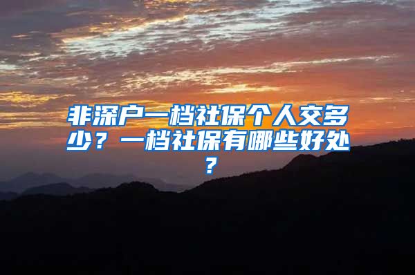 非深户一档社保个人交多少？一档社保有哪些好处？