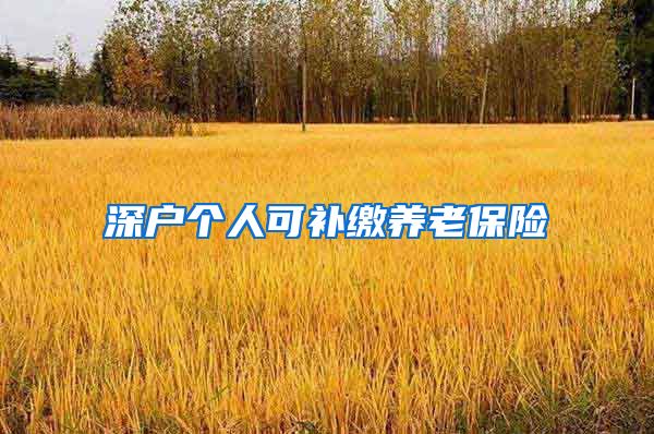 深户个人可补缴养老保险