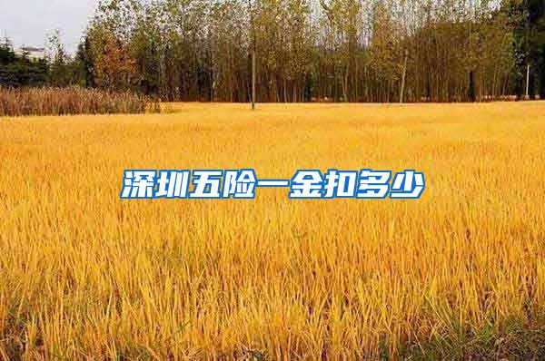 深圳五险一金扣多少