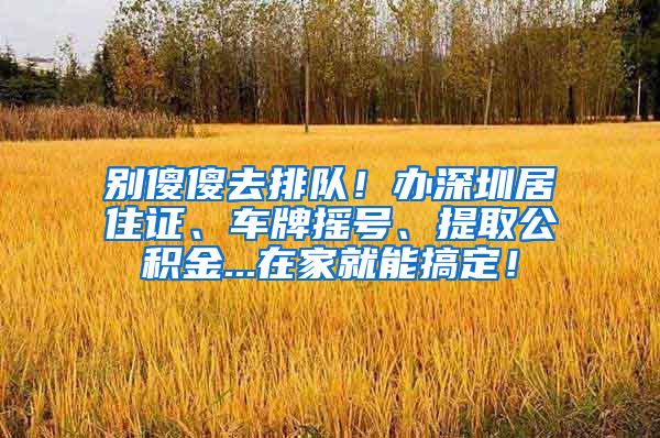 别傻傻去排队！办深圳居住证、车牌摇号、提取公积金...在家就能搞定！