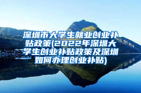 深圳市大学生就业创业补贴政策(2022年深圳大学生创业补贴政策及深圳如何办理创业补贴)