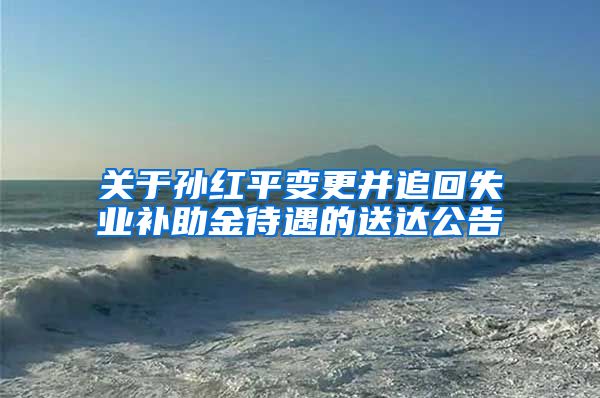 关于孙红平变更并追回失业补助金待遇的送达公告